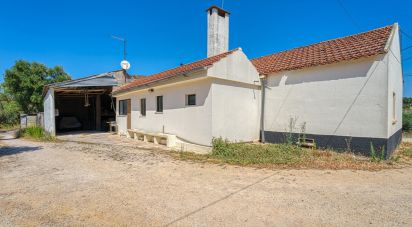 House T4 in Madalena e Beselga of 343 m²