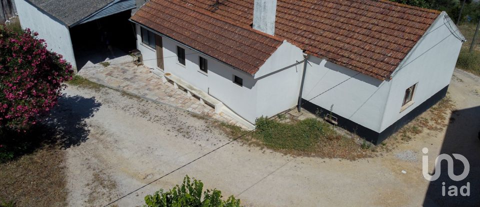 House T4 in Madalena e Beselga of 343 m²