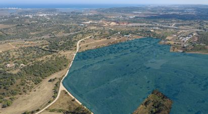 Terrain à Mexilhoeira Grande de 300 000 m²