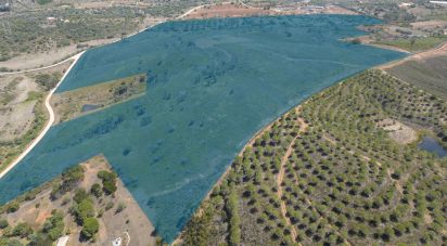 Terrain à Mexilhoeira Grande de 300 000 m²