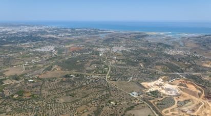 Terrain à Mexilhoeira Grande de 300 000 m²