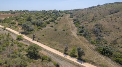 Terrain à Mexilhoeira Grande de 300 000 m²