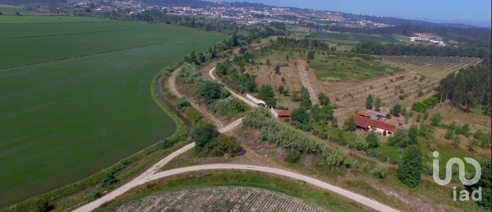 Farm T1 in Maiorca of 200 m²