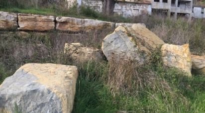 Farm T0 in Bárrio of 20,228 m²