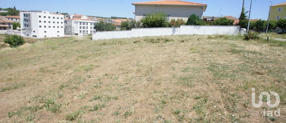 Terreno em Carrazedo de Montenegro e Curros de 450 m²
