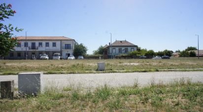 Terrain à Carrazedo de Montenegro e Curros de 301 m²