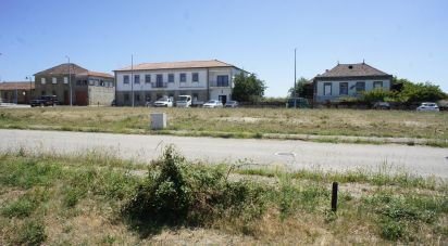 Terrain à Carrazedo de Montenegro e Curros de 301 m²