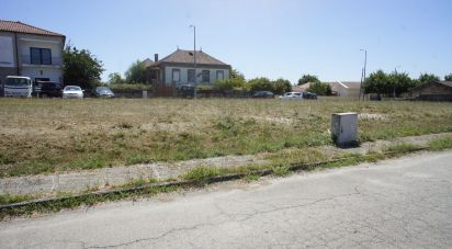 Terrain à Carrazedo de Montenegro e Curros de 301 m²