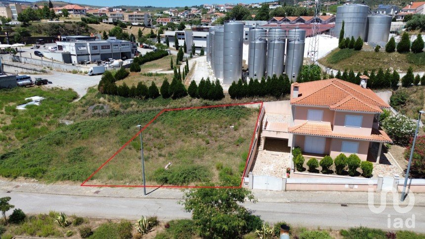 Terrain à Murça de 437 m²