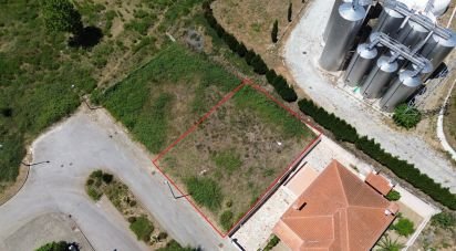 Land in Murça of 437 m²