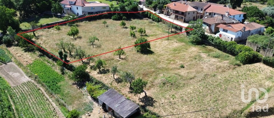 Terreno em Vilar de Nantes de 2 950 m²