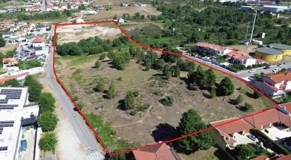 Terrain à Santa Cruz/Trindade E Sanjurge de 40 929 m²