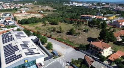 Terrain à Santa Cruz/Trindade E Sanjurge de 40 929 m²