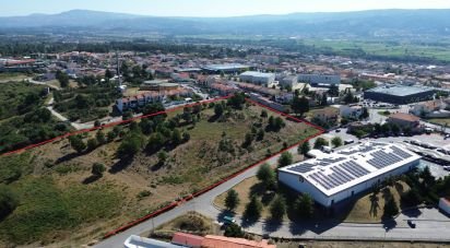 Terrain à Santa Cruz/Trindade E Sanjurge de 40 929 m²