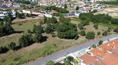 Terrain à Santa Cruz/Trindade E Sanjurge de 40 929 m²