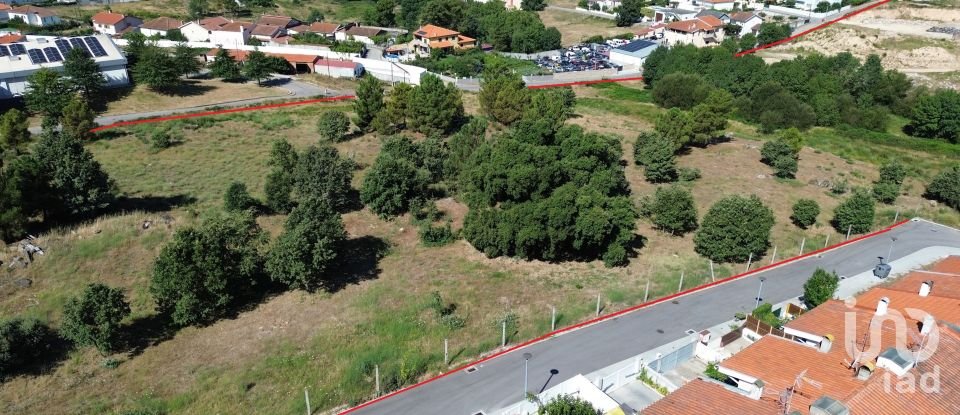 Terrain à Santa Cruz/Trindade E Sanjurge de 40 929 m²