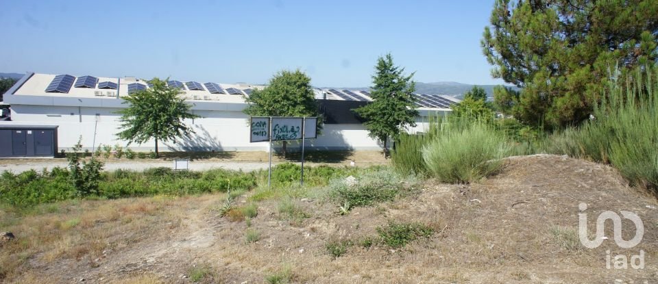 Terrain à Santa Cruz/Trindade E Sanjurge de 40 929 m²