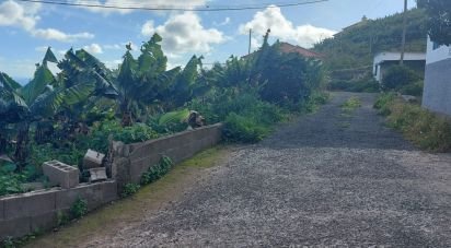 Terrain à São Martinho de 4 114 m²