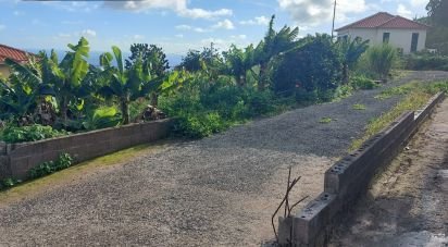 Terrain à São Martinho de 4 114 m²