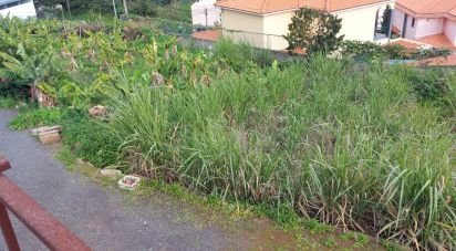 Terrain à São Martinho de 4 114 m²