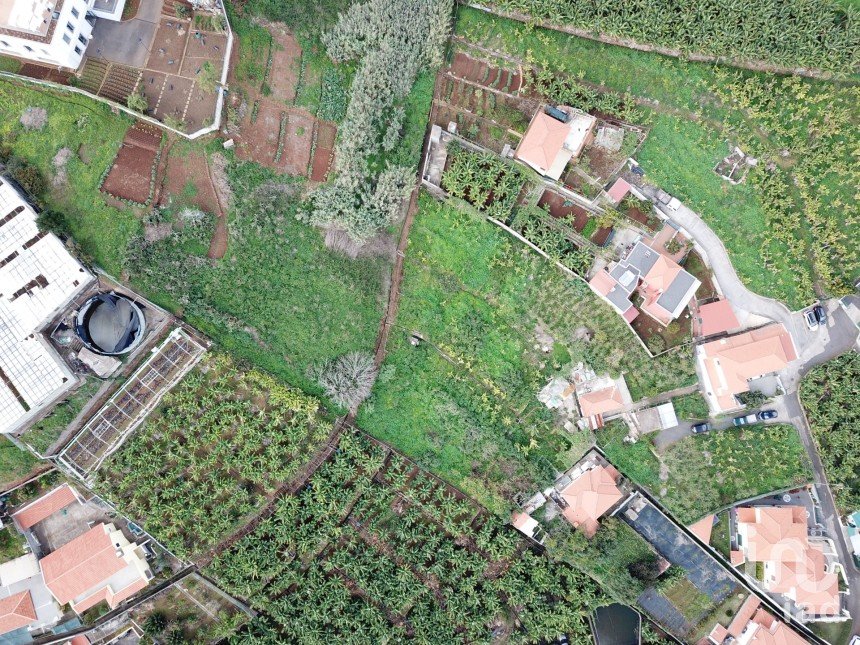 Terrain à São Martinho de 4 114 m²