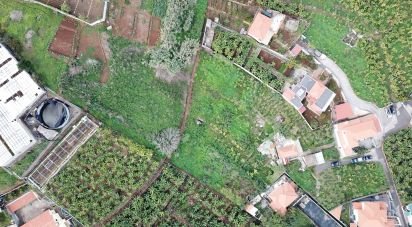 Terrain à São Martinho de 4 114 m²