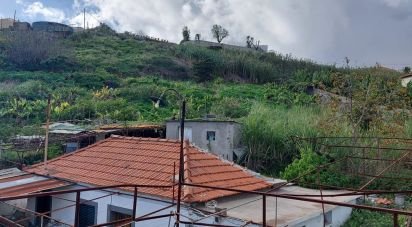 Terrain à São Martinho de 4 114 m²
