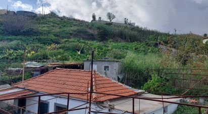 Land in São Martinho of 4,114 m²
