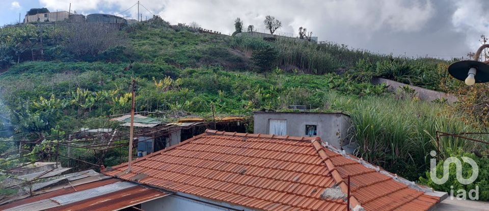 Land in São Martinho of 4,114 m²