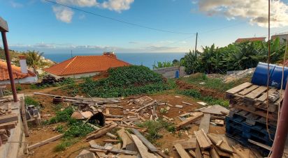 Maison T3 à São Martinho de 312 m²