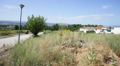 Terrain à Vilar de Nantes de 705 m²