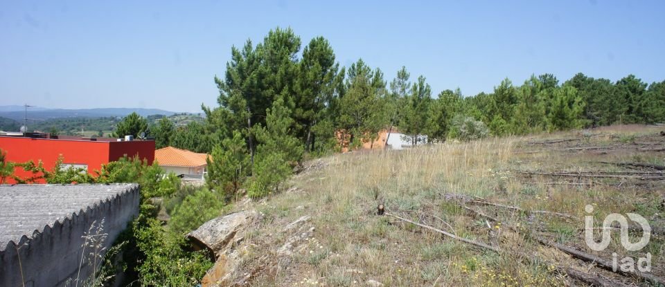 Terreno em Vale de Anta de 500 m²