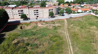 Terrain à Santa Maria Maior de 21 536 m²