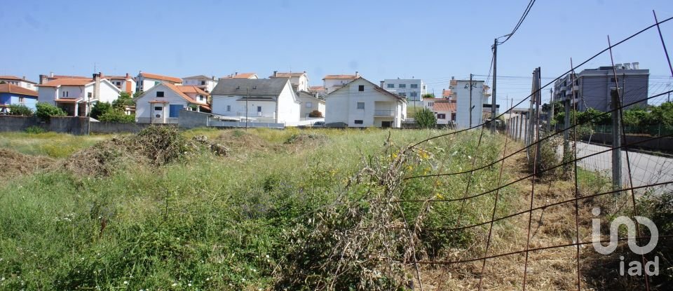 Land in Santa Maria Maior of 21,536 m²