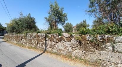 Terrain à Moimenta da Serra e Vinhó de 11 200 m²