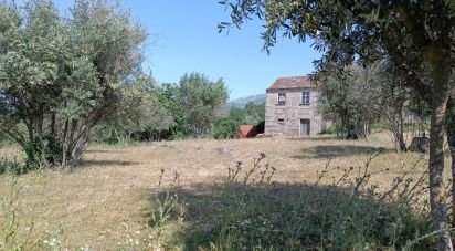 Terrain à Moimenta da Serra e Vinhó de 11 200 m²
