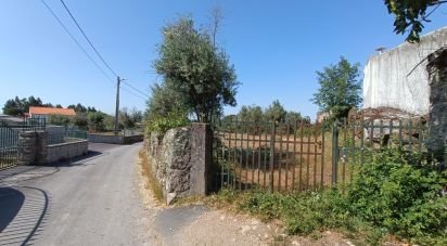 Terrain à Moimenta da Serra e Vinhó de 11 200 m²