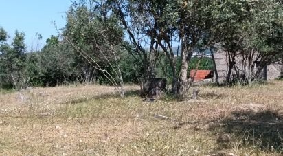 Terrain à Moimenta da Serra e Vinhó de 11 200 m²