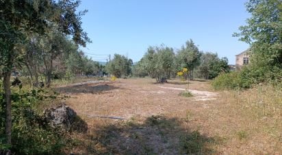 Terrain à Moimenta da Serra e Vinhó de 11 200 m²