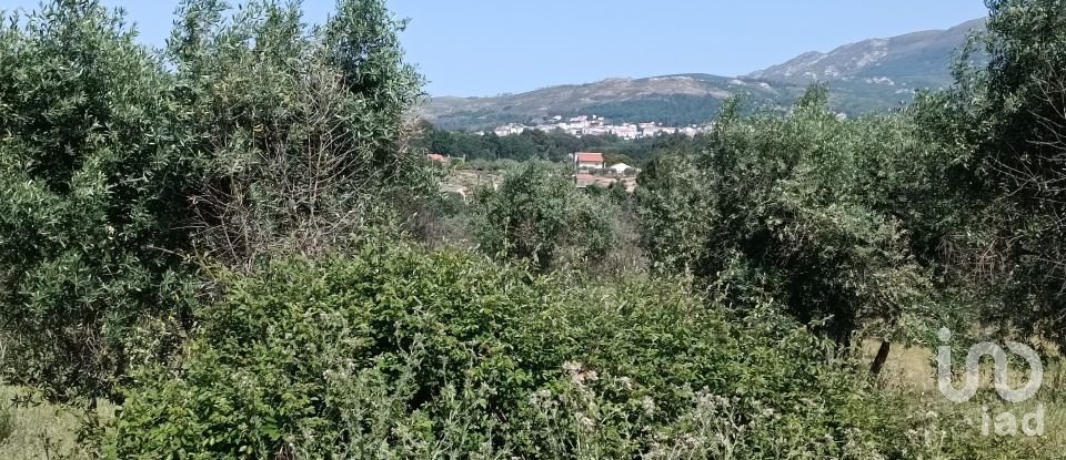 Land in Moimenta da Serra e Vinhó of 11,200 m²