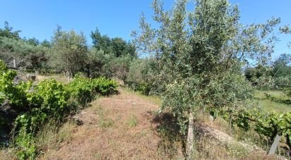 Terrain agricole à Moimenta da Serra e Vinhó de 2 126 m²