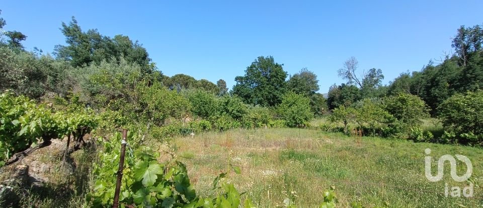 Terreno rústico em Moimenta da Serra e Vinhó de 2 126 m²
