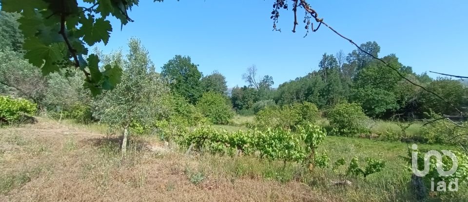 Terreno rústico em Moimenta da Serra e Vinhó de 2 126 m²