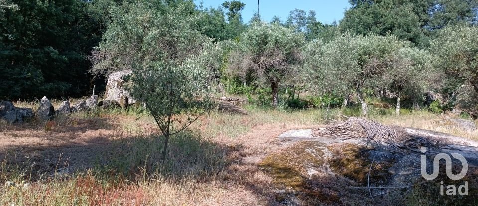 Terreno rústico em Moimenta da Serra e Vinhó de 2 126 m²