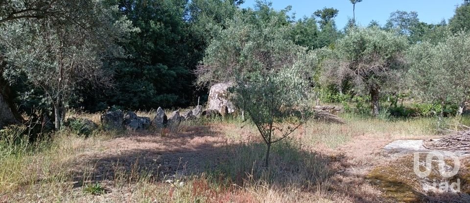 Terreno rústico em Moimenta da Serra e Vinhó de 2 126 m²