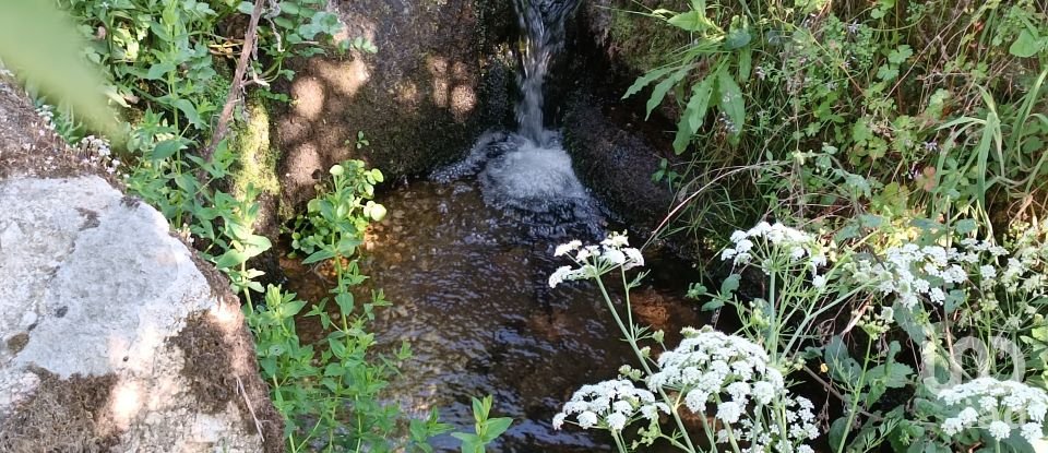 Terreno rústico em Moimenta da Serra e Vinhó de 2 126 m²