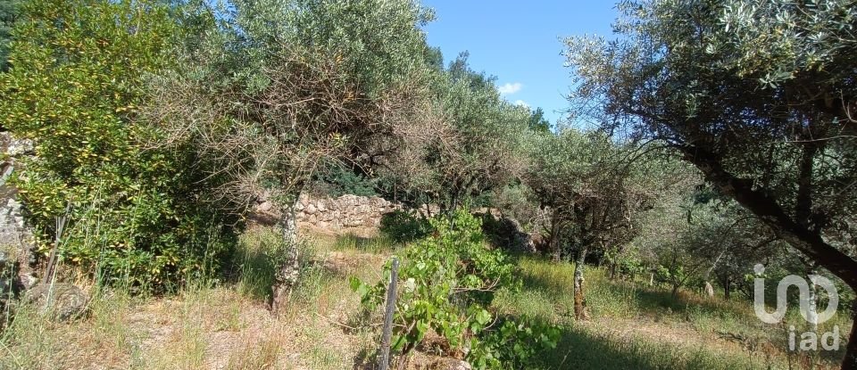 Terreno rústico em Moimenta da Serra e Vinhó de 2 126 m²