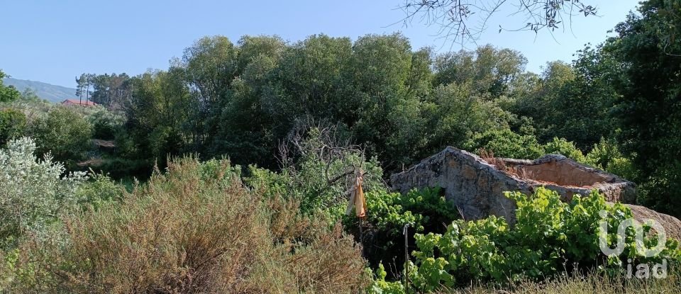 Terreno rústico em Moimenta da Serra e Vinhó de 2 126 m²