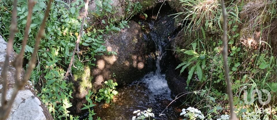 Terreno rústico em Moimenta da Serra e Vinhó de 2 126 m²