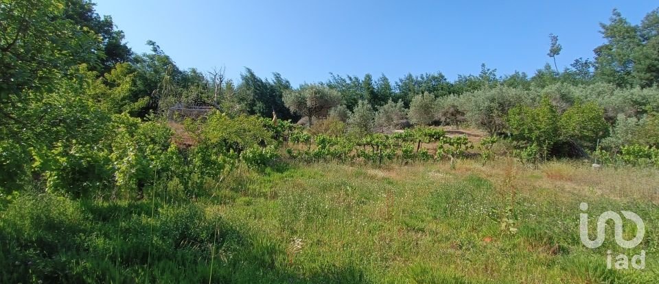 Agricultural land in Moimenta da Serra e Vinhó of 2,126 m²